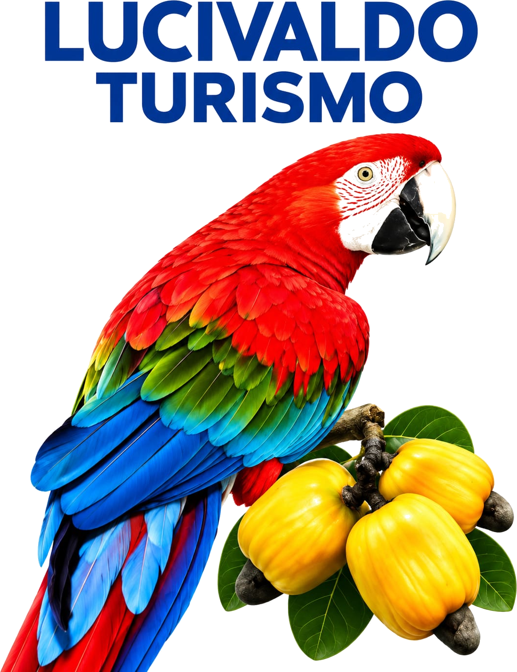 Lucivaldo Turismo